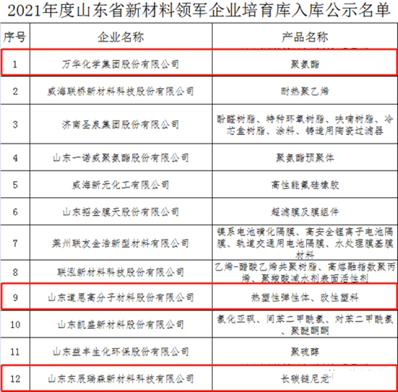 萬華化學（xué）、山東道恩、東（dōng）辰（chén）瑞森等企業在（zài）列！2021年（nián）度（dù）山東省新材料領軍企業公示