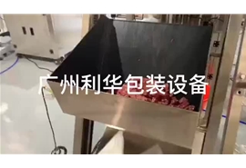 牛肉，雞肉，羊肉罐頭等肉類罐裝包裝生產（chǎn）線